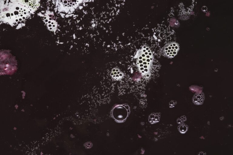 Micro-oxygénation du vin : affiner l’élevage et révéler le potentiel aromatique