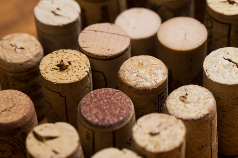 Bouchons de liège avec Tout'œno